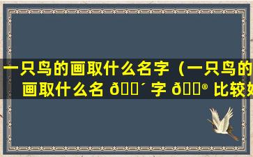 一只鸟的画取什么名字（一只鸟的画取什么名 🌴 字 💮 比较好）